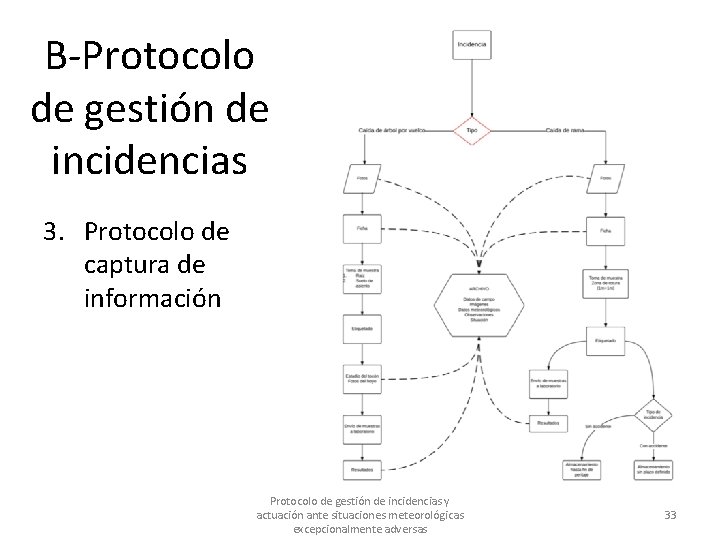 B-Protocolo de gestión de incidencias 3. Protocolo de captura de información Protocolo de gestión