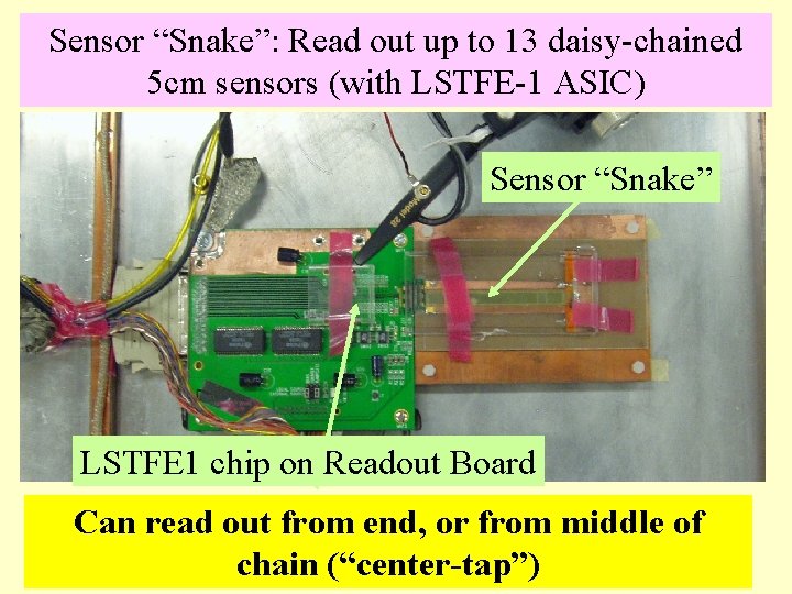 Sensor “Snake”: Read out up to 13 daisy-chained 5 cm sensors (with LSTFE-1 ASIC)