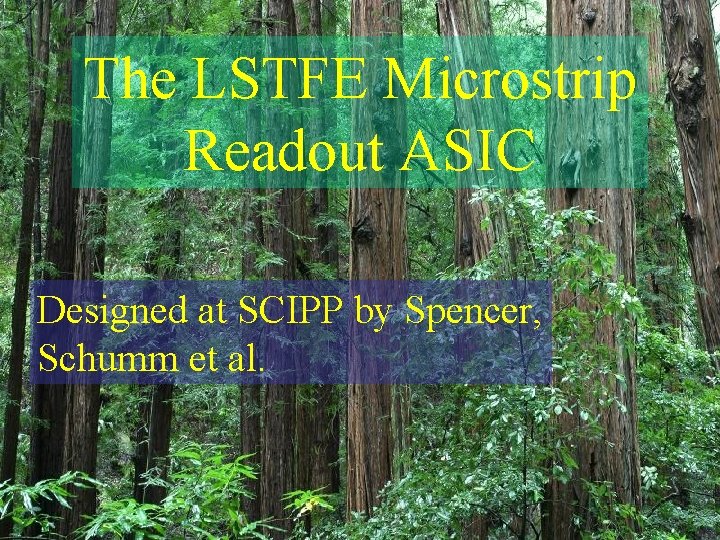 The LSTFE Microstrip Readout ASIC Designed at SCIPP by Spencer, Schumm et al. 