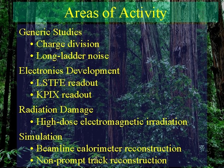 Areas of Activity Generic Studies • Charge division • Long-ladder noise Electronics Development •