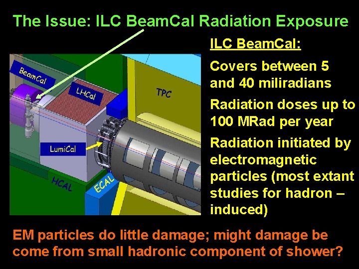 The Issue: ILC Beam. Cal Radiation Exposure ILC Beam. Cal: Covers between 5 and