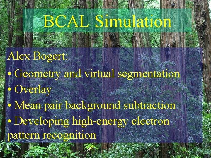 BCAL Simulation Alex Bogert: • Geometry and virtual segmentation • Overlay • Mean pair