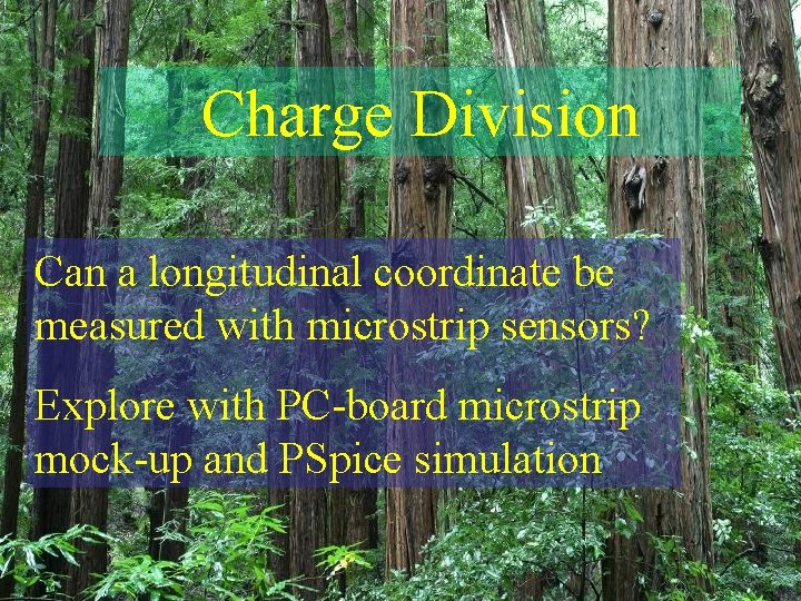 Charge Division Can a longitudinal coordinate be measured with microstrip sensors? Explore with PC-board
