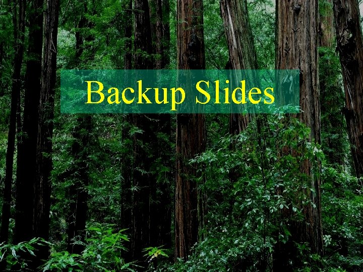 Backup Slides 