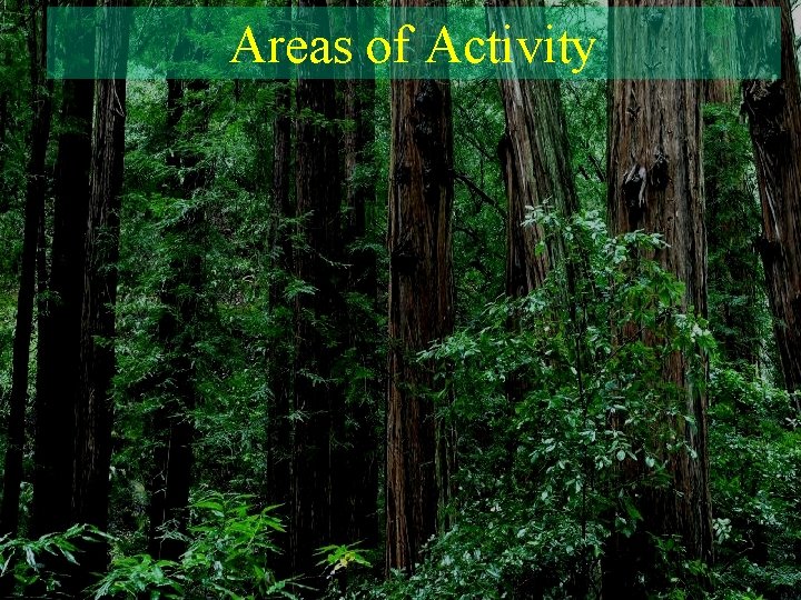 Areas of Activity 