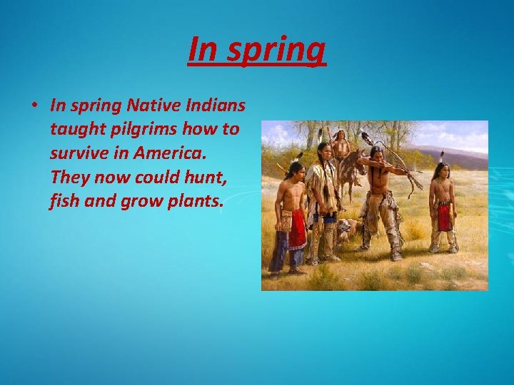 In spring • In spring Native Indians taught pilgrims how to survive in America.