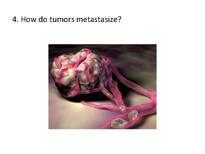 4. How do tumors metastasize? 4. How do tumors metastasize?
