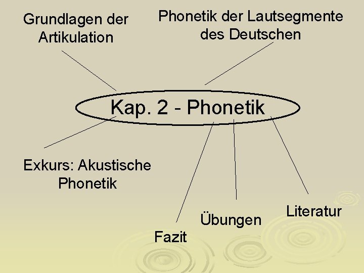 Grundlagen der Artikulation Phonetik der Lautsegmente des Deutschen Kap. 2 - Phonetik Exkurs: Akustische