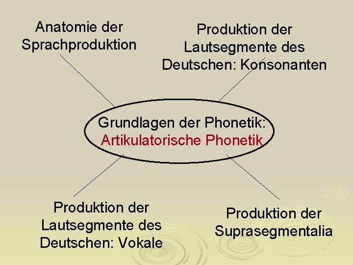 Anatomie der Sprachproduktion Produktion der Lautsegmente des Deutschen: Konsonanten Grundlagen der Phonetik: Artikulatorische Phonetik