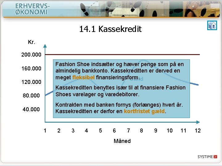 14. 1 Kassekredit Kr. 200. 000 Fashion Shoe indsætter og hæver penge som på