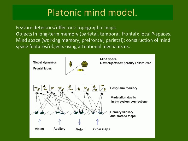Platonic mind model. Feature detectors/effectors: topographic maps. Objects in long-term memory (parietal, temporal, frontal):