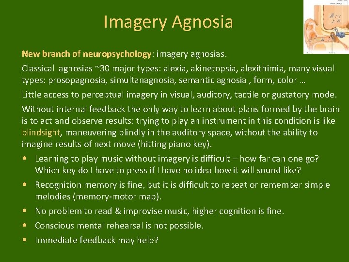 Imagery Agnosia New branch of neuropsychology: imagery agnosias. Classical agnosias ~30 major types: alexia,