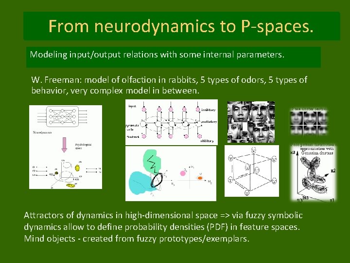 From neurodynamics to P-spaces. Modeling input/output relations with some internal parameters. W. Freeman: model