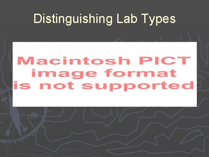 Distinguishing Lab Types 