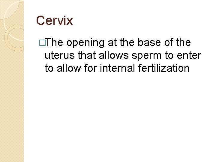Cervix �The opening at the base of the uterus that allows sperm to enter Cervix �The opening at the base of the uterus that allows sperm to enter