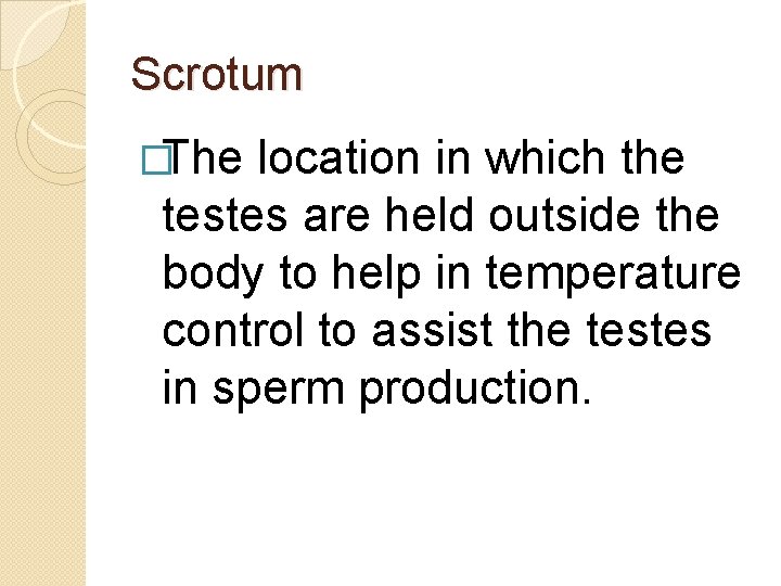 Scrotum �The location in which the testes are held outside the body to help Scrotum �The location in which the testes are held outside the body to help