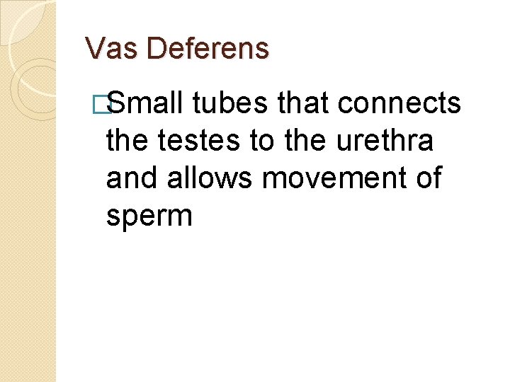 Vas Deferens �Small tubes that connects the testes to the urethra and allows movement Vas Deferens �Small tubes that connects the testes to the urethra and allows movement