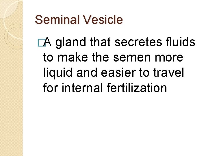 Seminal Vesicle �A gland that secretes fluids to make the semen more liquid and Seminal Vesicle �A gland that secretes fluids to make the semen more liquid and