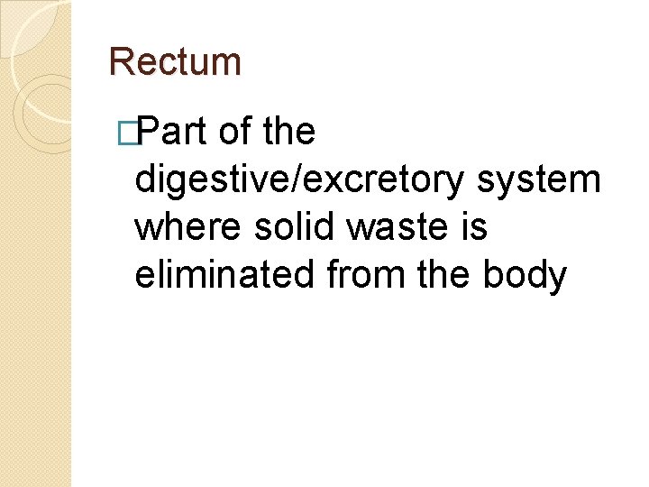 Rectum �Part of the digestive/excretory system where solid waste is eliminated from the body Rectum �Part of the digestive/excretory system where solid waste is eliminated from the body