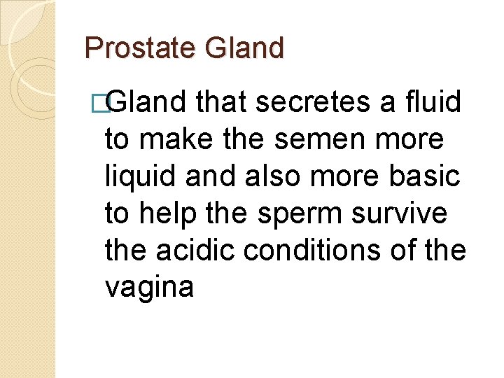 Prostate Gland �Gland that secretes a fluid to make the semen more liquid and Prostate Gland �Gland that secretes a fluid to make the semen more liquid and
