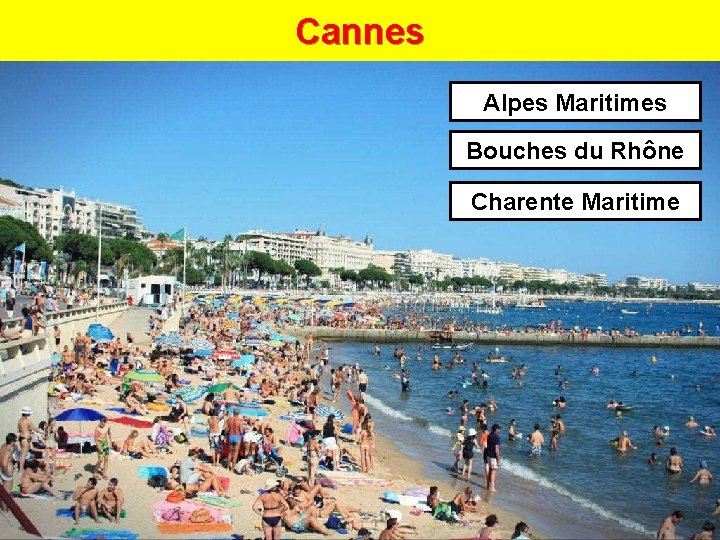 Cannes Alpes Maritimes Bouches du Rhône Charente Maritime 