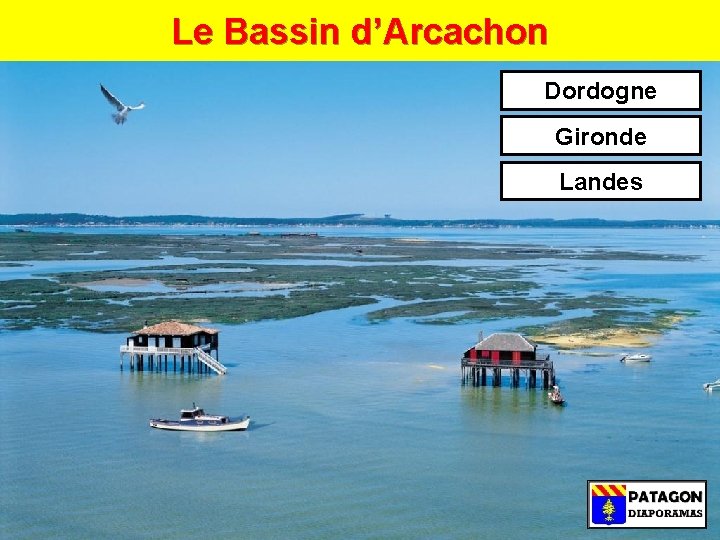 Le Bassin d’Arcachon Dordogne Gironde Landes 