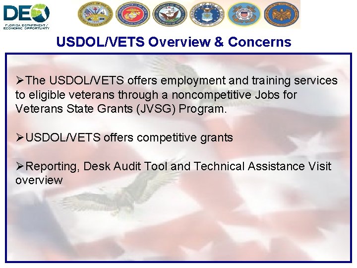 USDOL/VETS Overview & Concerns ØThe USDOL/VETS offers employment and training services to eligible veterans