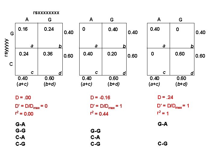 rsxxxx A rsyyyyy G A G 0. 16 0. 24 a 0. 40 0