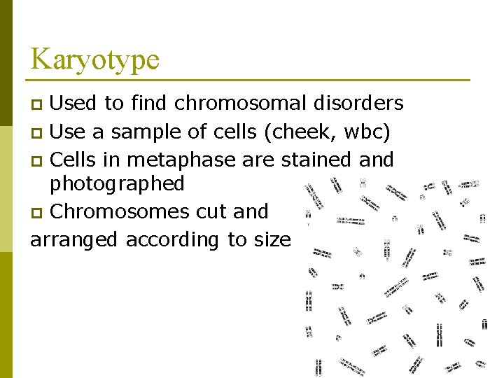 Karyotype Used to find chromosomal disorders p Use a sample of cells (cheek, wbc)