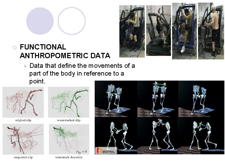 ¡ FUNCTIONAL ANTHROPOMETRIC DATA l Data that define the movements of a part of