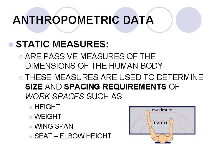 ANTHROPOMETRIC DATA l STATIC MEASURES: ¡ ARE PASSIVE MEASURES OF THE DIMENSIONS OF THE