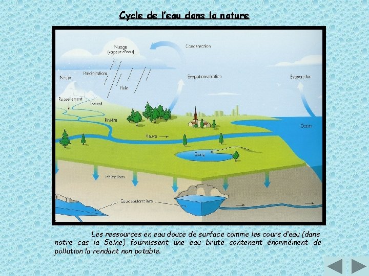 Cycle de l’eau dans la nature Les ressources en eau douce de surface comme