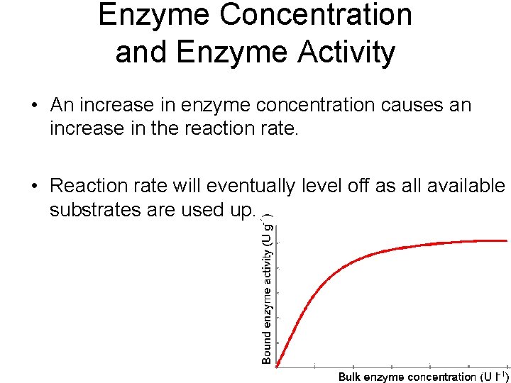 Enzyme Concentration and Enzyme Activity • An increase in enzyme concentration causes an increase