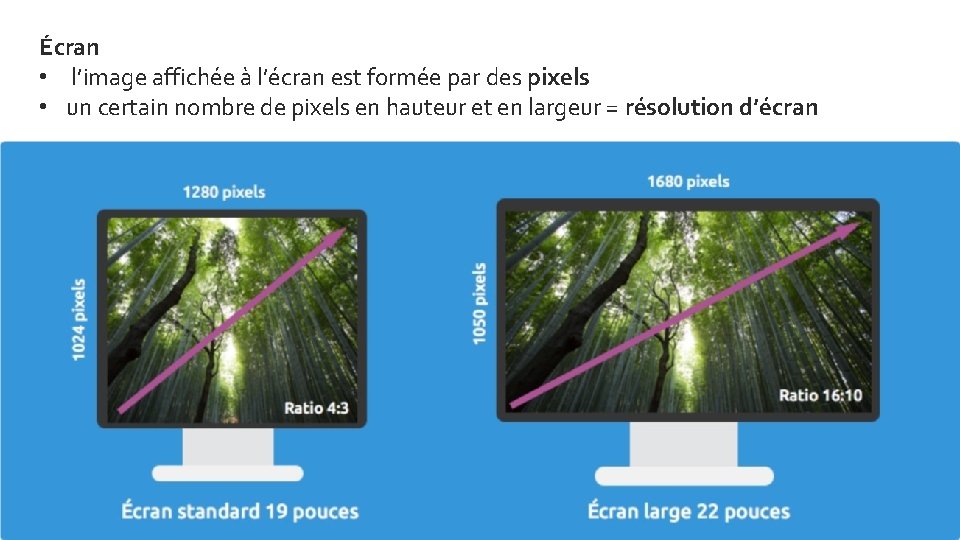 Écran • l’image affichée à l’écran est formée par des pixels • un certain
