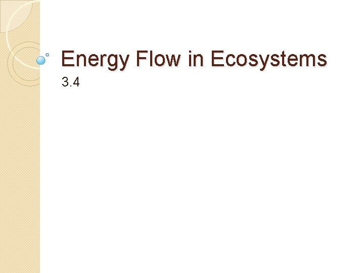 Energy Flow in Ecosystems 3. 4 