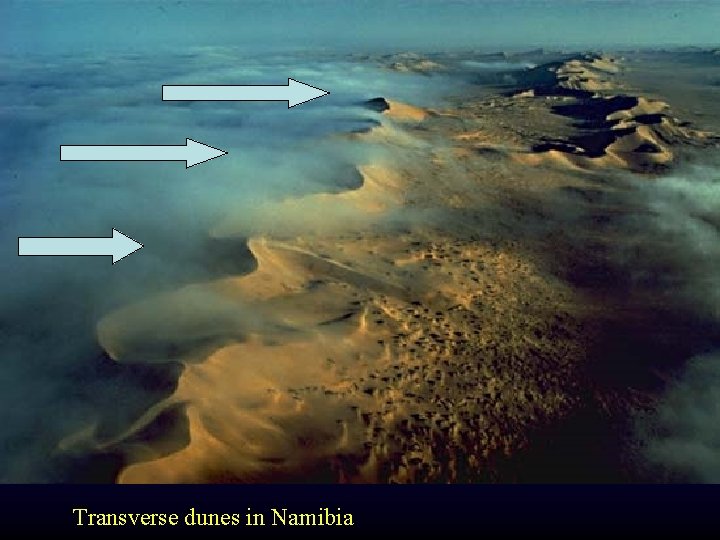 Transverse dunes in Namibia 