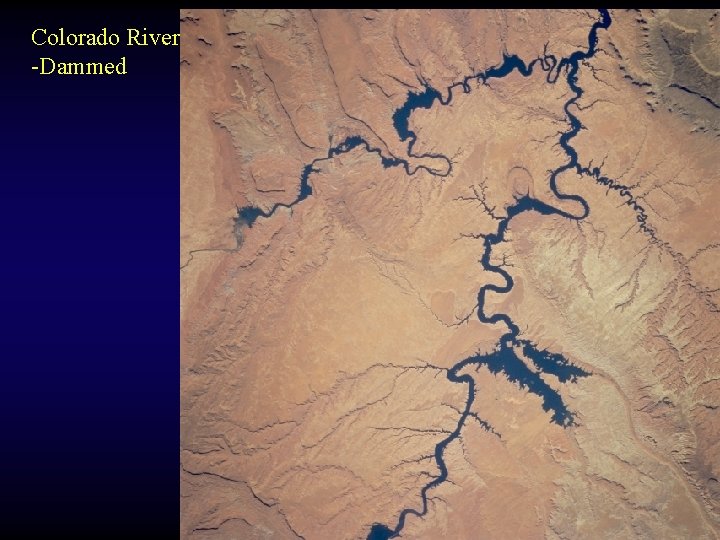 Colorado River -Dammed 