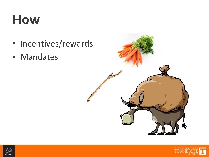 How • Incentives/rewards • Mandates 