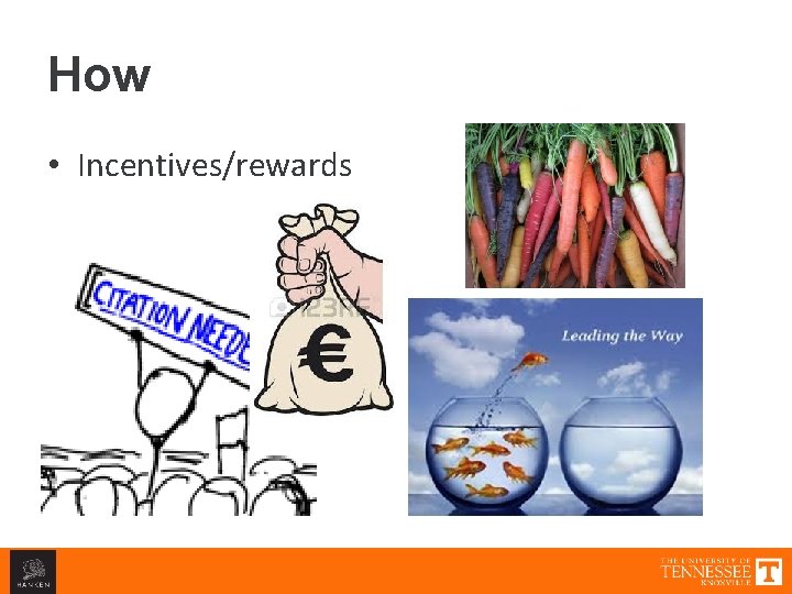 How • Incentives/rewards 