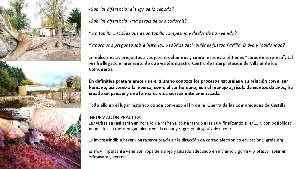 ¿Sabrías diferenciar el trigo de la cebada? ¿Sabrías diferenciar una perdiz de una codorniz?