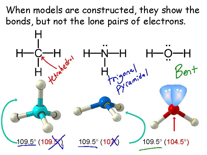 When models are constructed, they show the bonds, but not the lone pairs of