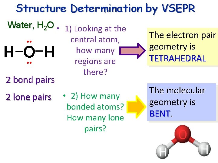Structure Determination by VSEPR Water, H 2 O • 1) Looking at the central