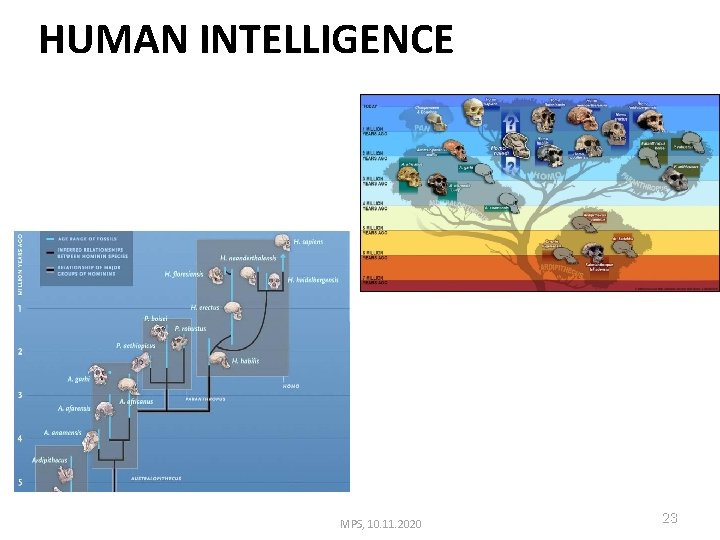 INTELLIGENT SYSTEMS AND AGENTS INTELLIGENCE Prof dr Matja