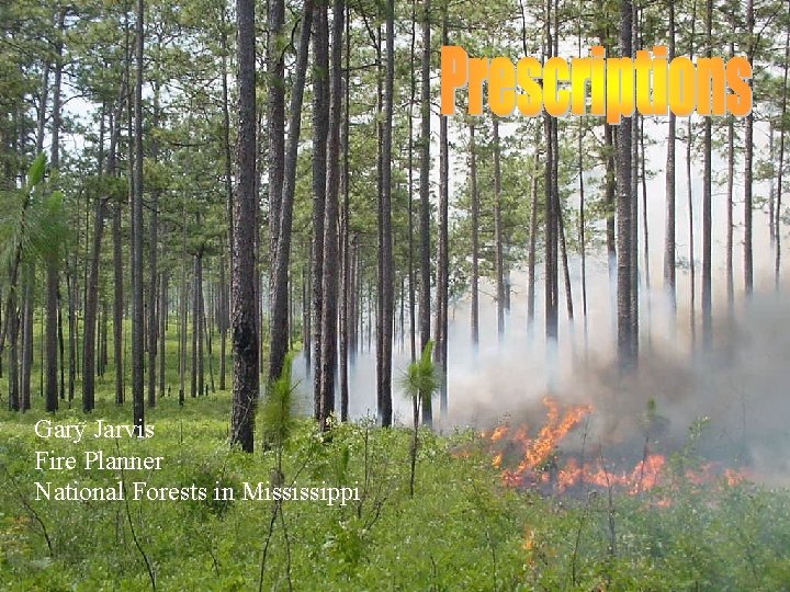 Gary Jarvis Fire Planner National Forests in Mississippi 