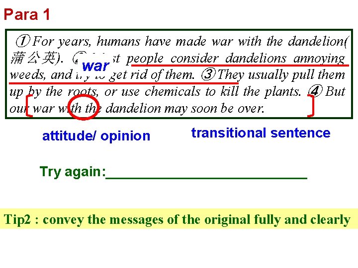 Para 1 ① For years, humans have made war with the dandelion( 蒲 公