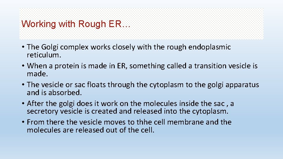 Working with Rough ER… • The Golgi complex works closely with the rough endoplasmic