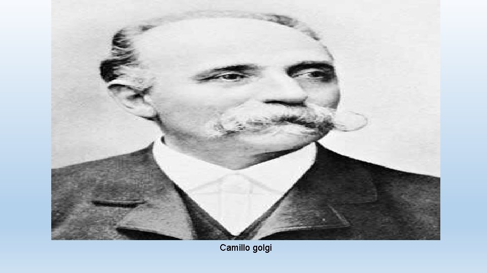 Camillo golgi 