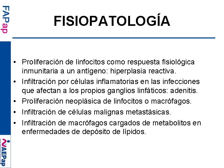 FISIOPATOLOGÍA • Proliferación de linfocitos como respuesta fisiológica inmunitaria a un antígeno: hiperplasia reactiva.