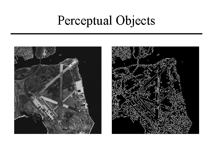 Perceptual Objects 