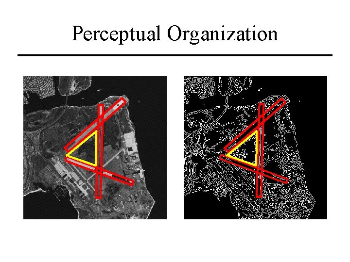 Perceptual Organization 